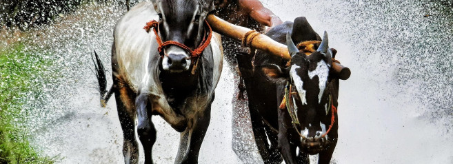 Nuova Delhi diventa la quarta economia mondiale