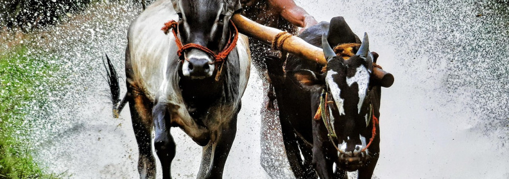 Nuova Delhi diventa la quarta economia mondiale