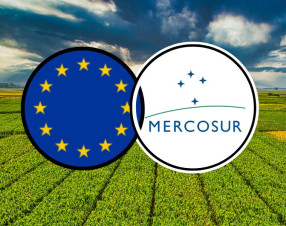 Via libera Ue al Mercosur: nasce il più grande accordo di libero scambio al