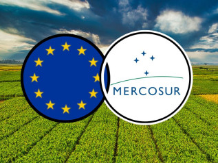 Via libera Ue al Mercosur: nasce il più grande accordo di libero scambio al