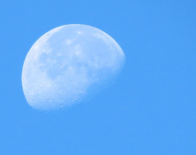 Corsa privata alla Luna: quattro lander pronti all’allunaggio nel 2026