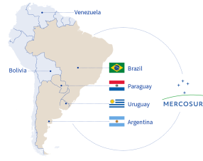 Mercosur, l’allarme degli agricoltori europei: “Così diventiamo dipendenti