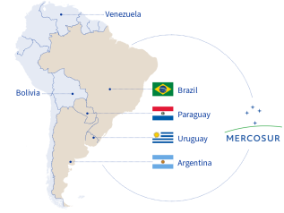 Mercosur, l’allarme degli agricoltori europei: “Così diventiamo dipendenti