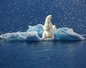 Crisi climatica, una strage silenziosa