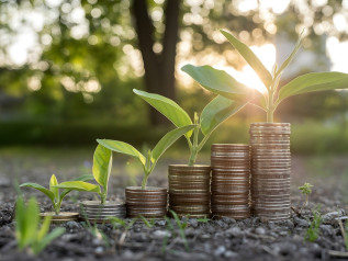 Green economy: vincolo o motore dello sviluppo?