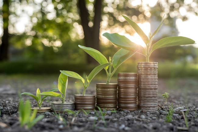 Green economy: vincolo o motore dello sviluppo?