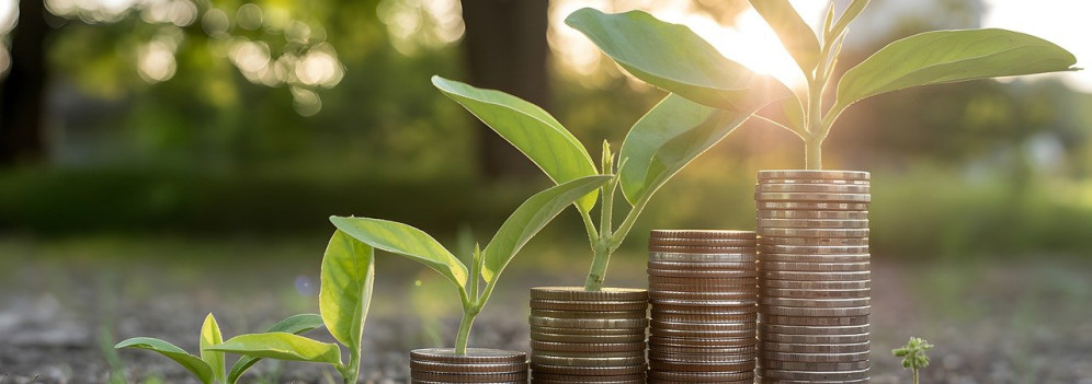 Green economy: vincolo o motore dello sviluppo?