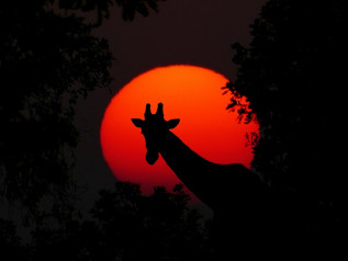 Il commercio invisibile che sfida i numeri ufficiali