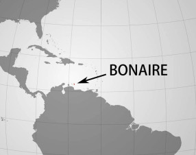 L’Olanda condannata a proteggere Bonaire