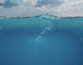 A 6.000 metri sotto il mare: scoperte terre rare nei fondali del Pacifico