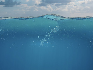 A 6.000 metri sotto il mare: scoperte terre rare nei fondali del Pacifico