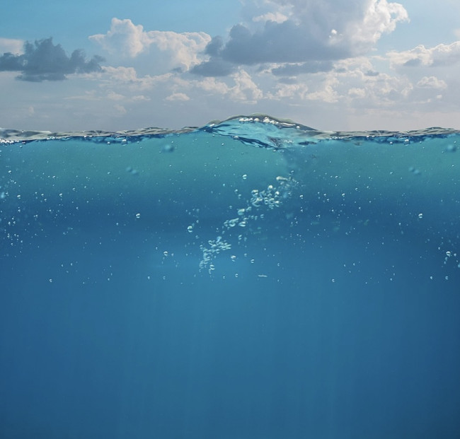 A 6.000 metri sotto il mare: scoperte terre rare nei fondali del Pacifico