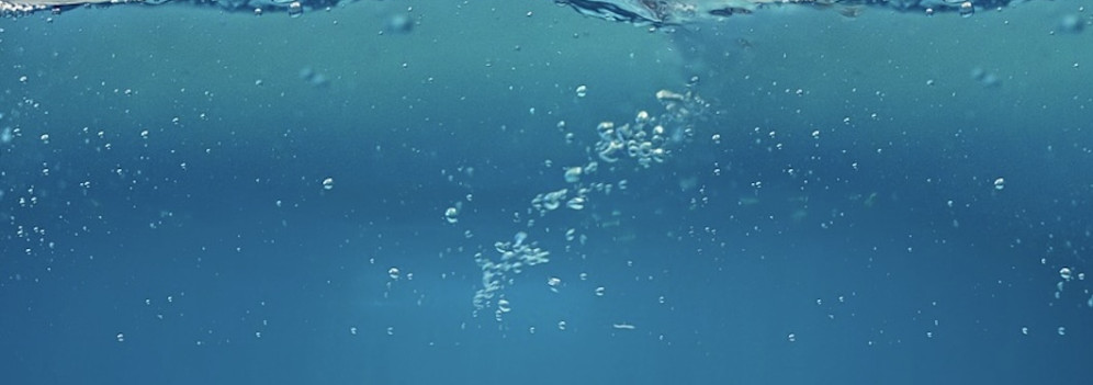 A 6.000 metri sotto il mare: scoperte terre rare nei fondali del Pacifico