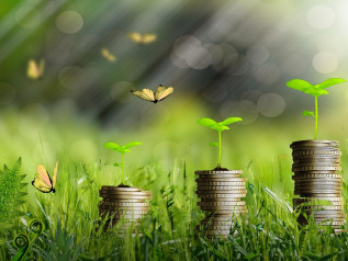 La tecnologia green che smentisce Trump