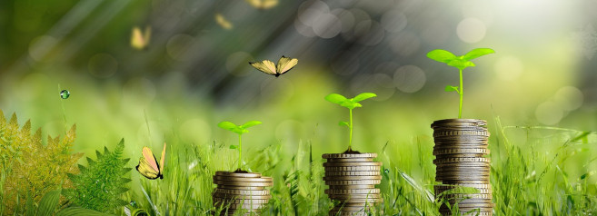 La tecnologia green che smentisce Trump