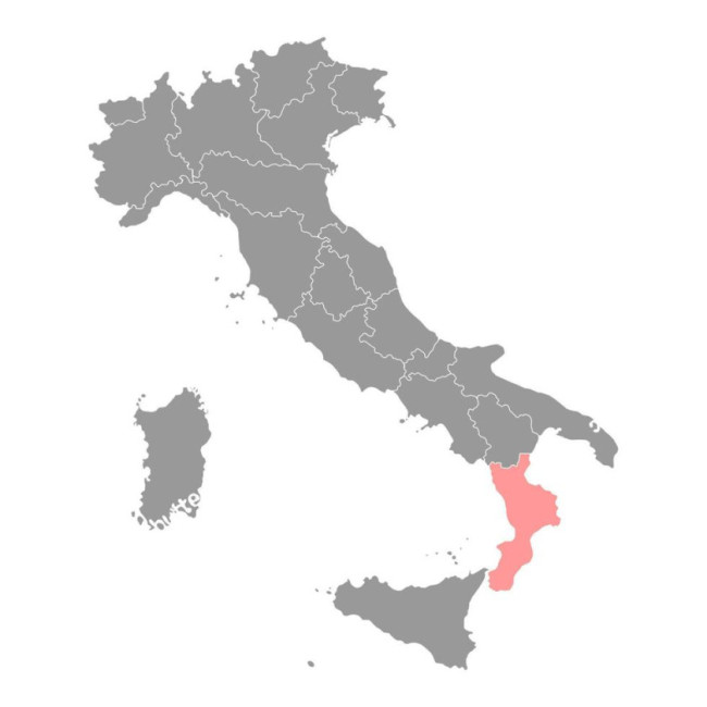 La Calabria come la Danimarca? Arriva il “reddito di merito”
