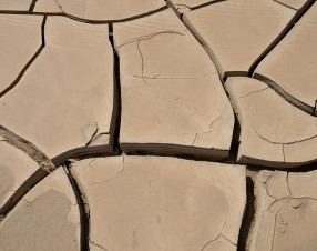 Siccità record in Europa: 156mila km² colpiti