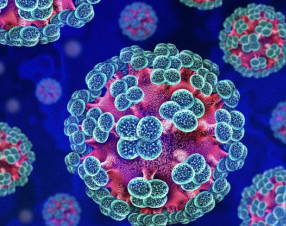 Hantavirus, 4 italiani in sorveglianza. Parte il tracciamento