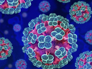 Hantavirus, 4 italiani in sorveglianza. Parte il tracciamento