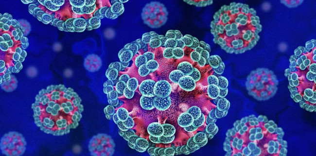 Hantavirus, 4 italiani in sorveglianza. Parte il tracciamento