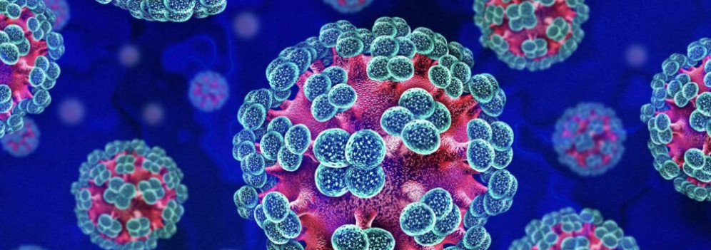 Hantavirus, 4 italiani in sorveglianza. Parte il tracciamento
