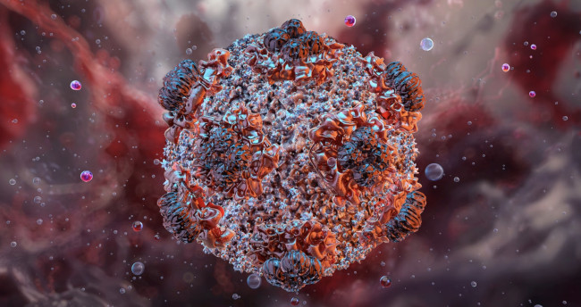 Hantavirus, massima allerta