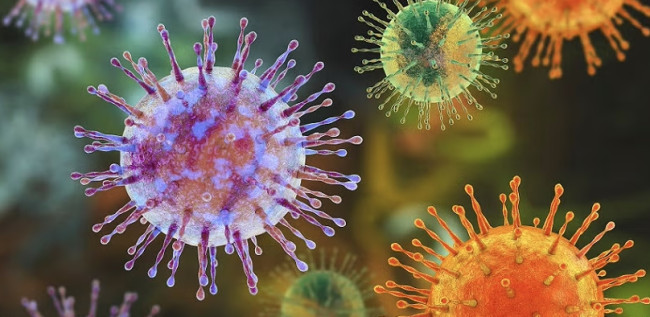 Hantavirus, turista inglese rintracciato dopo 16 giorni