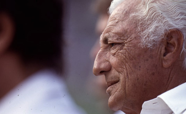 Agnelli e agnellini