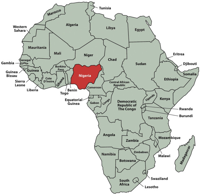 Il “gigante d’Africa” e la Francia