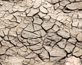 Desertificazione tecnologica