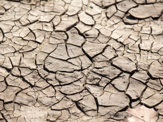 Desertificazione tecnologica