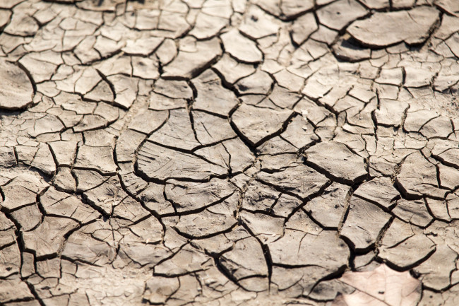 Desertificazione tecnologica