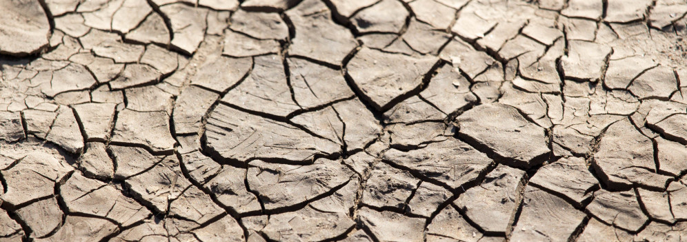 Desertificazione tecnologica