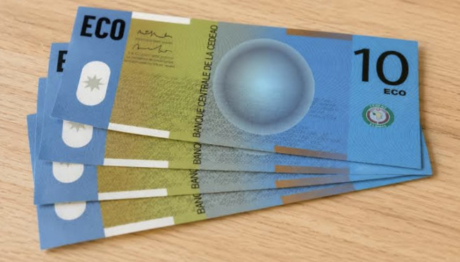 La moneta unica Eco debutterà nel 2027