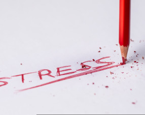 Povertà e stress accelerano l'invecchiamento del cervello