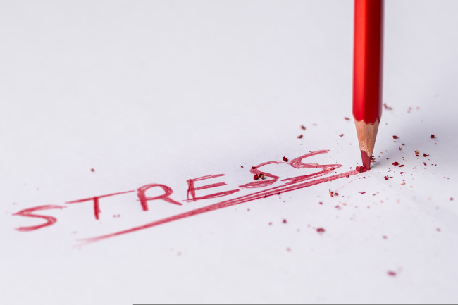 Povertà e stress accelerano l'invecchiamento del cervello