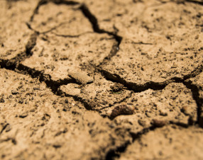 Europa nella morsa della siccità