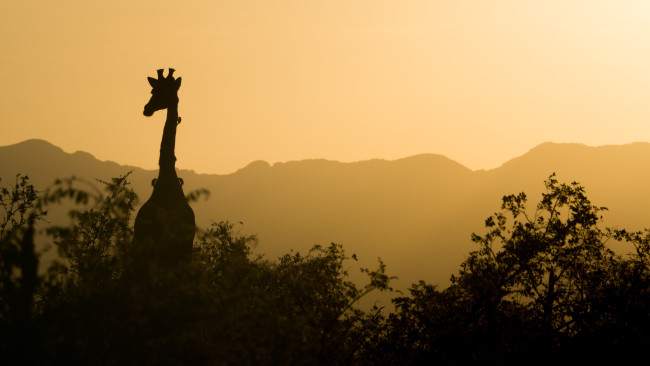 Ecco come l'Africa può sfruttare il disgelo tra Stati Uniti e Cina