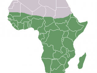 Fmi: Pil in ripresa nell'Africa sub-sahariana