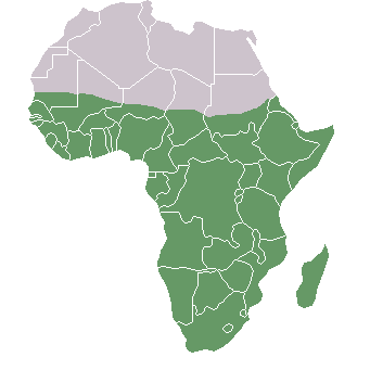 Fmi: Pil in ripresa nell'Africa sub-sahariana