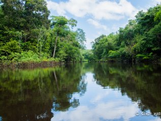 L'Amazzonia e il paradosso brasiliano. Che Bolsonaro rischia di incendiare