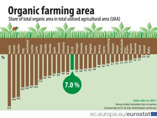 Agricoltura biologica: +25% dal 2012