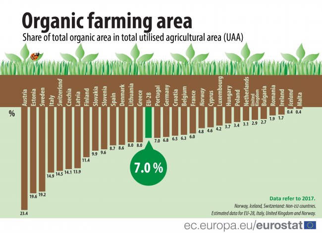 Agricoltura biologica: +25% dal 2012