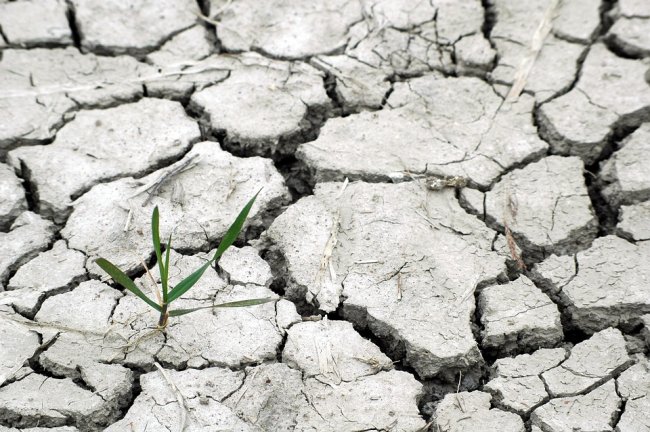Chi dovrebbe pagare il conto delle politiche ambientali?