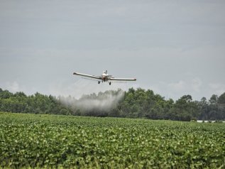 Bayer, terza condanna negli Usa per il diserbante Monsanto: "Paghi 2 mld"