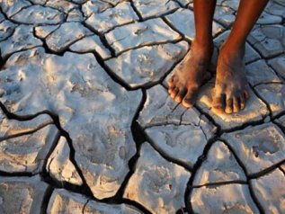 Clima: lanciata una piattaforma africana con 10 Paesi