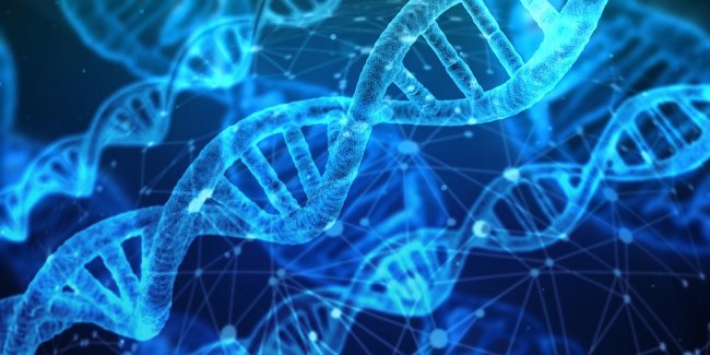 Creato il primo organismo vivente con DNA ridisegnato