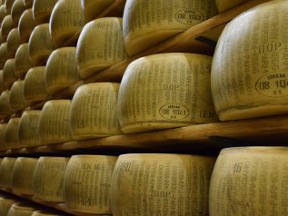 Il parmigiano parla francese: Lactalis compra Nuova Castelli