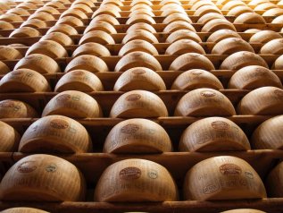 E' il Parmigiano il formaggio dop più premiato al mondo