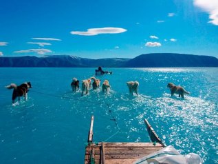 Groenlandia: il ghiaccio si scioglie, i cani da slitta corrono sull’acqua